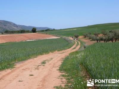 Ruta de las Caras - Buendía (Embalse de Buendía); senderismo llanes